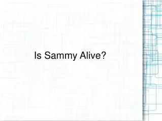 Is Sammy Alive?
