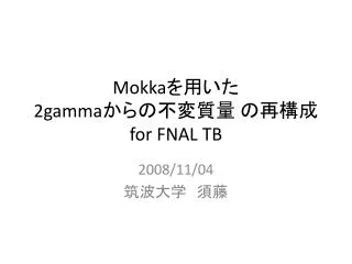 mokka 2gamma for fnal tb