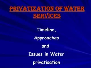 Privatization of water services
