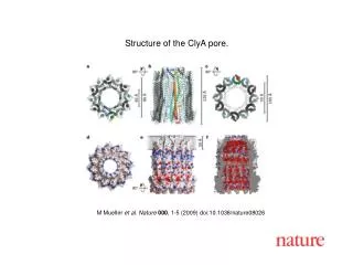 M Mueller et al. Nature 000 , 1-5 (2009) doi:10.1038/nature0 8026