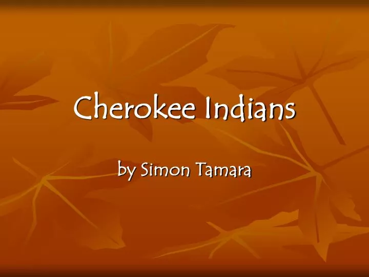 cherokee indians