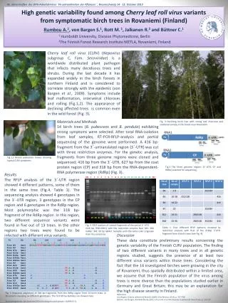 High genetic variability found among Cherry leaf roll virus variants