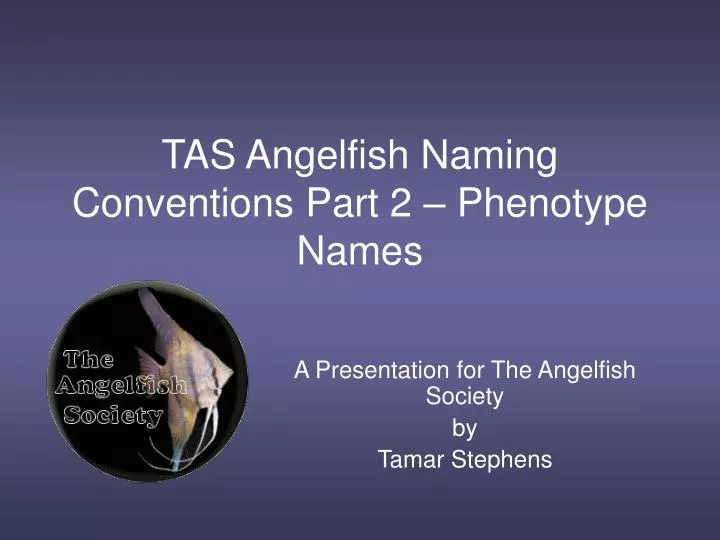 tas angelfish naming conventions part 2 phenotype names