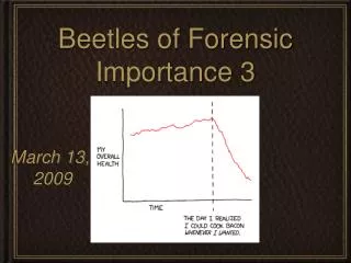 Beetles of Forensic Importance 3