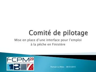 comit de pilotage