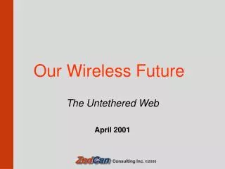 Our Wireless Future