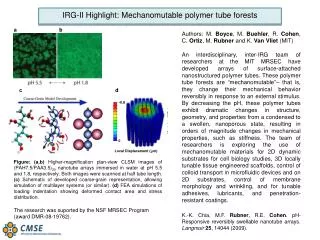 Authors: M. Boyce , M. Buehler , R. Cohen , C. Ortiz , M. Rubner and K. Van Vliet (MIT)