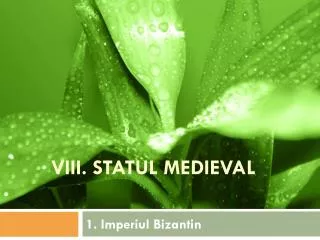 viii statul medieval
