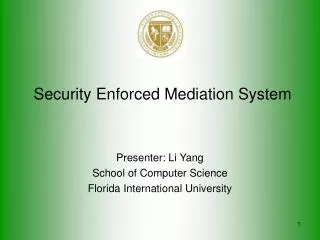 Security Enforced Mediation System