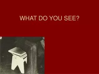 WHAT DO YOU SEE?