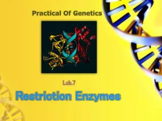 Restriction Enzymes