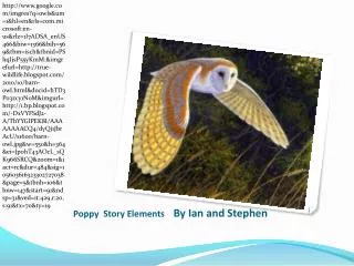 Poppy Story Elements By Ian and Stephen