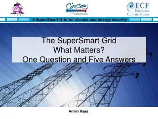 The SuperSmart Grid What Matters? One Question and Five Answers