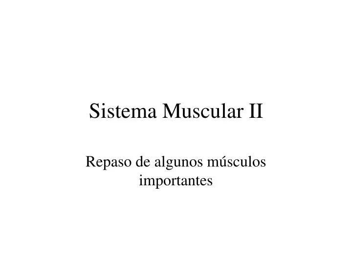 sistema muscular ii