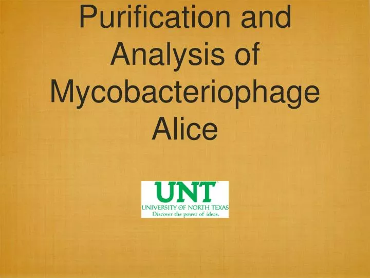 purification and analysis of mycobacteriophage alice
