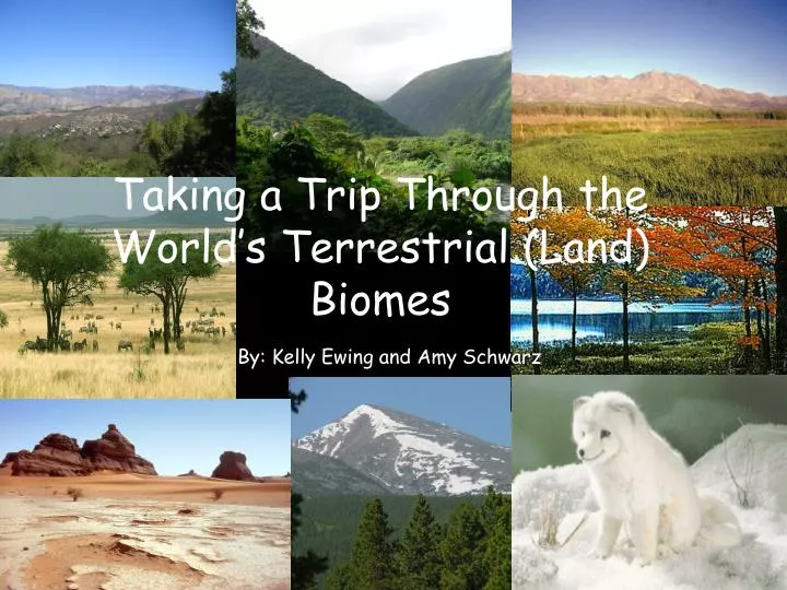 taking a trip through the world s terrestrial land biomes