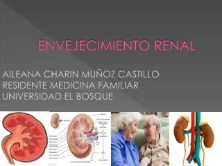 envejecimiento renal