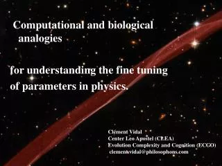 Computational and biological analogies for understanding the fine tuning