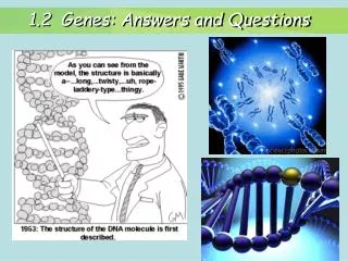 1.2 Genes: Answers and Questions