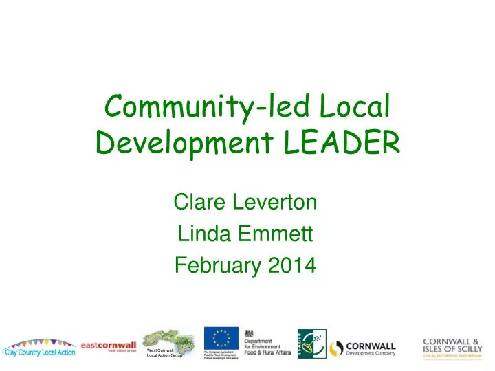 community led local development leader