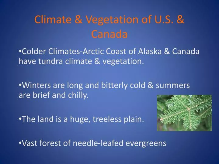 climate vegetation of u s canada