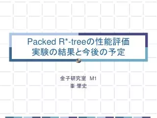 packed r tree