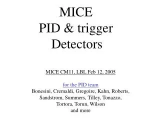 MICE PID &amp; trigger Detectors