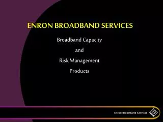 ENRON BROADBAND SERVICES