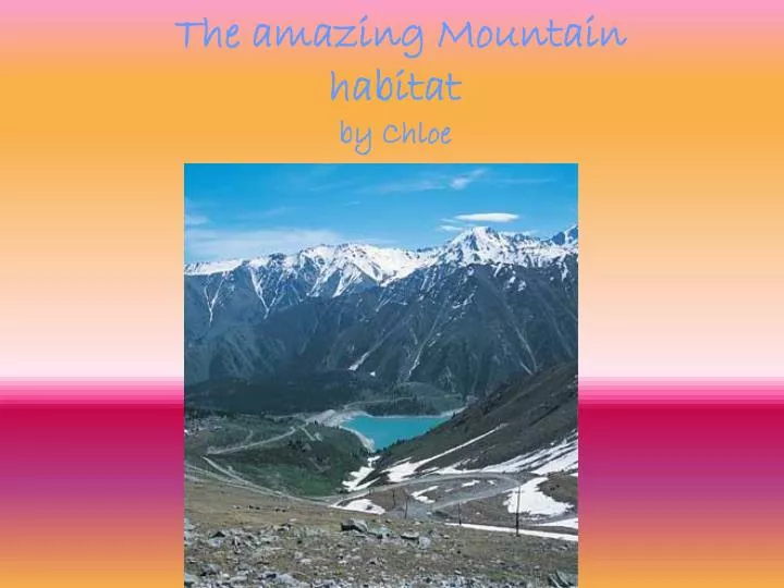 the amazing mountain habitat by chloe