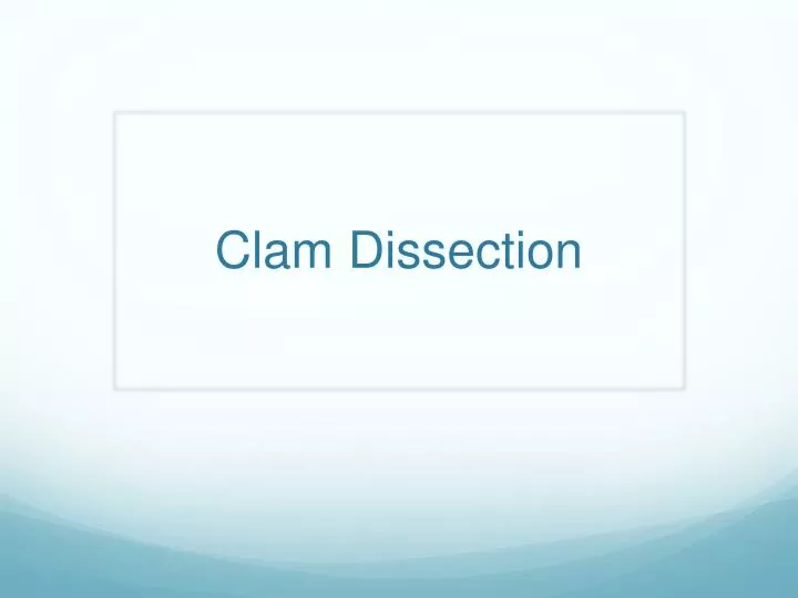 clam dissection