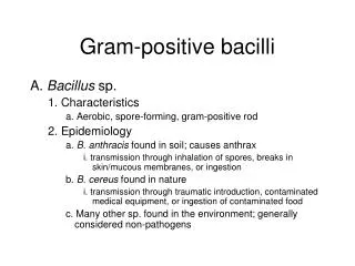 Gram-positive bacilli