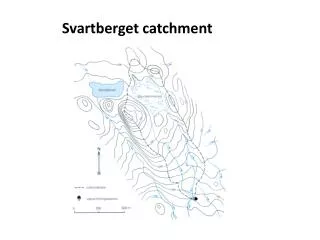Svartberget catchment