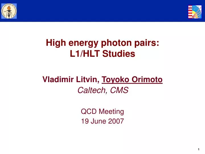 vladimir litvin toyoko orimoto caltech cms qcd meeting 19 june 2007