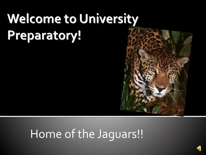 home of the jaguars