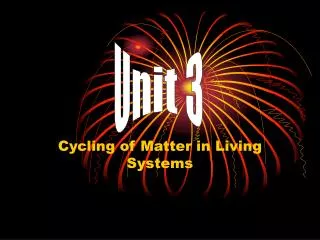 Cycling of Matter in Living Systems