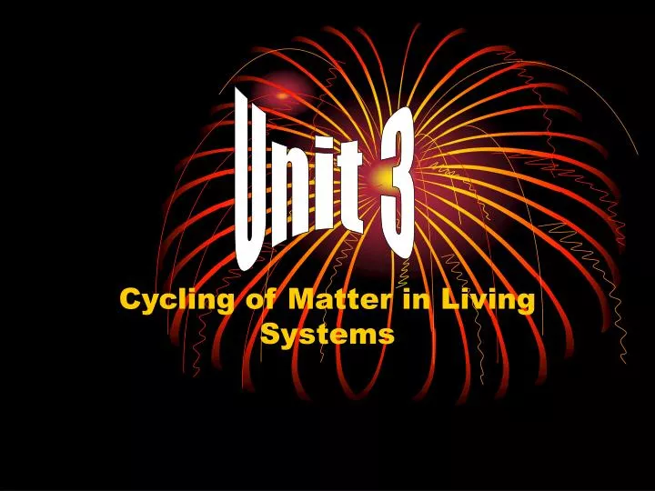 cycling of matter in living systems