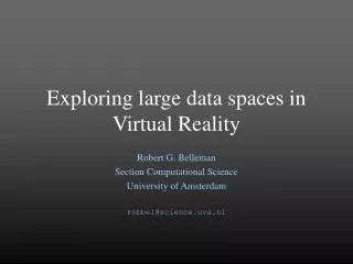 Exploring large data spaces in Virtual Reality