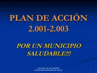 plan de acci n 2 001 2 003