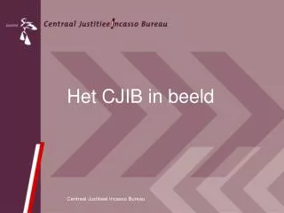 het cjib in beeld