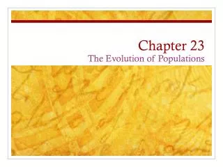 chapter 23