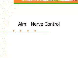 Aim: Nerve Control