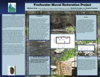 Freshwater Mussel Restoration Project