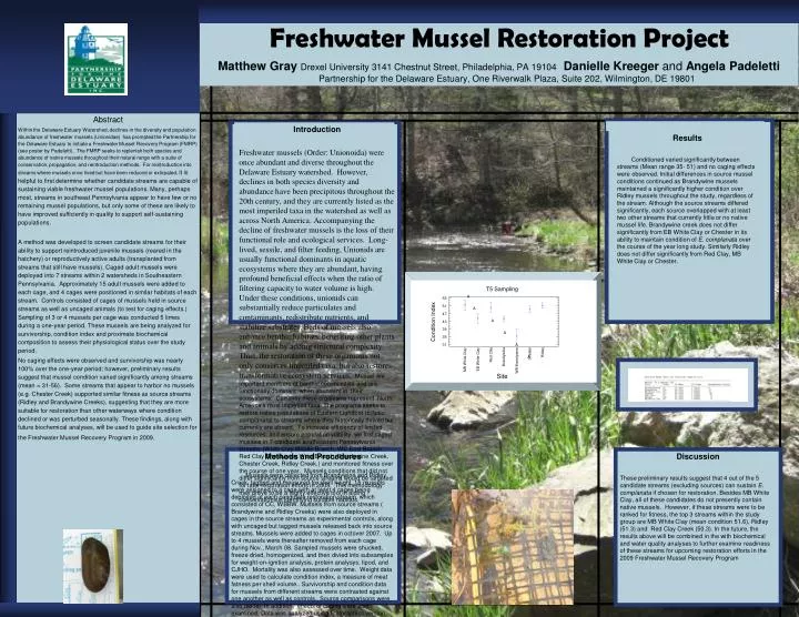 freshwater mussel restoration project