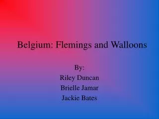 Belgium: Flemings and Walloons