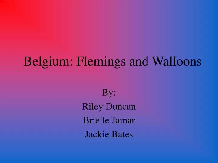 belgium flemings and walloons