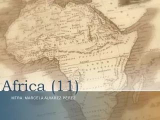 africa 11