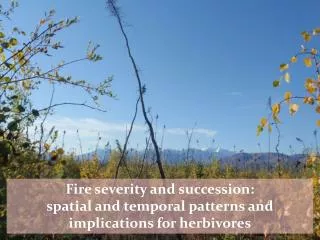 Fire severity and succession: spatial and temporal patterns and implications for herbivores