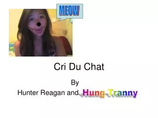 Cri Du Chat