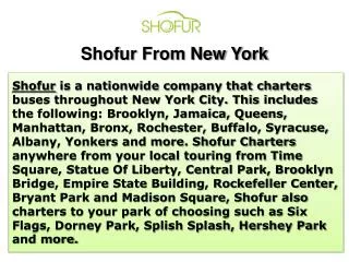 Shofur From New York