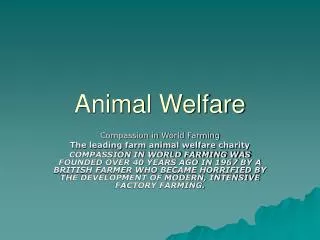 Animal Welfare